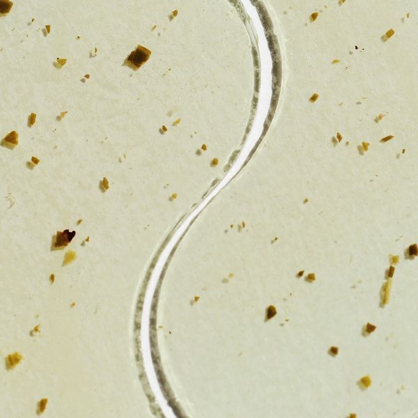 Тонізуючі патчі Patchology Moodpatch Perk Up PAT0005 фото