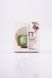 MARTINI SPA Konjac Face Sponge Спонж Конняку для обличчя 4030B00/4030B10 фото 2