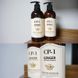 Кондиціонер для волосся з імбиром Esthetic House CP-1 Ginger Purifying Conditioner 09961 фото 5