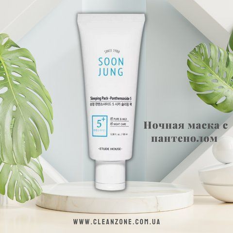 Нічна маска з пантенолом для чутливої шкіри Etude House Soon Jung Sleeping Pack Panthensoside 5 08664 фото