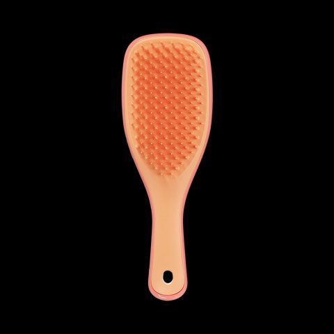 Щетка для волос Tangle Teezer The Ultimate Detangler Mini Salmon Pink & Apricot 13673 фото
