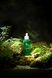 Есенція з екстрактом чайного дерева Dr. Ceuracle Tea Tree Purifine 95 12942 фото 4
