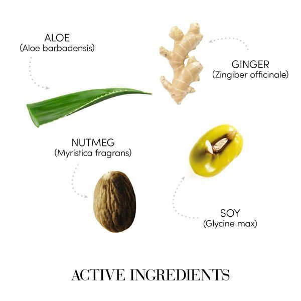 Балансувальний кондиціонер для шкіри голови та волосся Medavita REQUILIBRE Serum-Balancing Conditioner 01206 фото
