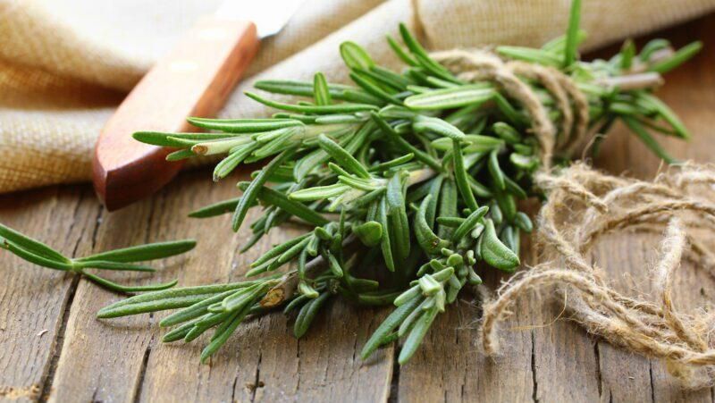 Маска для волосся зміцнювальна з розмарином 3 в 1 Aromatica Rosemary Scalp 3-in-1 Treatment 11767 фото