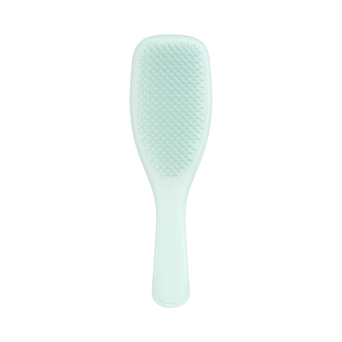 Щетка для волос Tangle Teezer The Ultimate Detangler Fine & Fragile Ice Blue 14982 фото