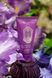 Крем для рук La Sultane De Saba Hand Cream Musk Incense Vanilla Fragrance 000537 фото 2
