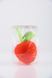 MARTINI SPA Apple Bath Sponge Губка банна (яблуко) 0071H10 фото 2