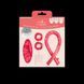 Подарунковий набір Invisibobble GIFT SET Beach Curl L 14327 фото 1