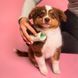 Щетка для вычесывания щенков Tangle Teezer Pet Teezer Puppy Brush Green 12197 фото 3