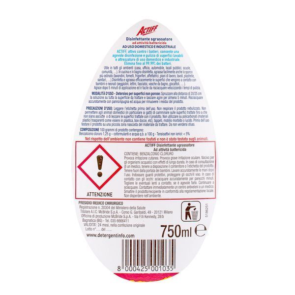 Дезинфекционное обезжиривающее средство ACTIFF SGRASSATORE DISINFECTANT 256024 фото